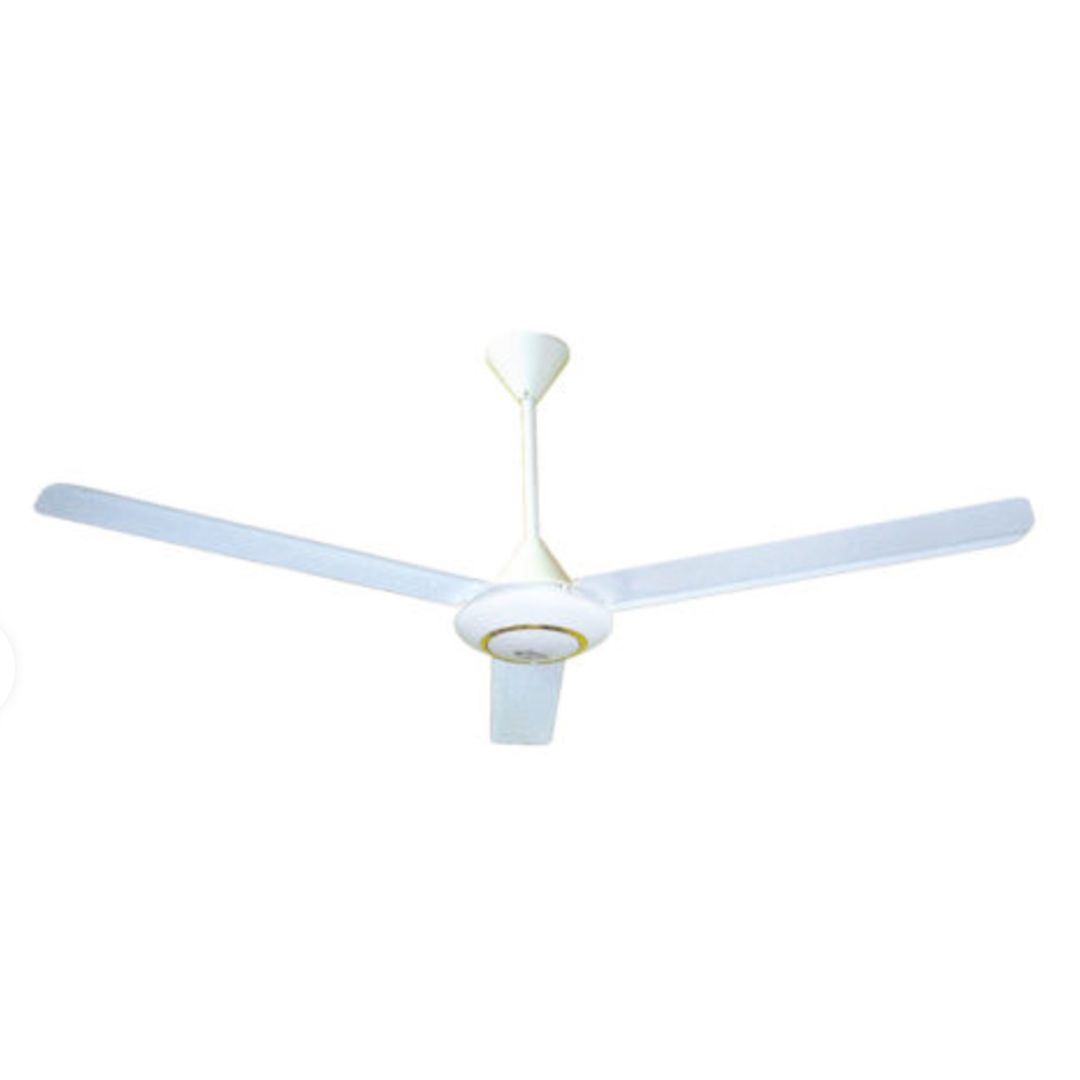 WhatsApp Image 2025-02-06 at 2.48.16 PM (1)